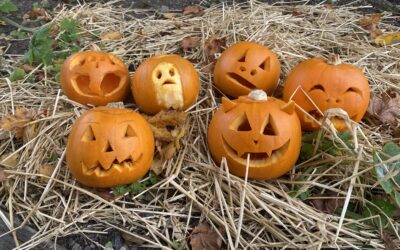 Pumpkin Carving 🎃