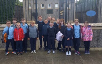 Dromcollogher Cinema Fire