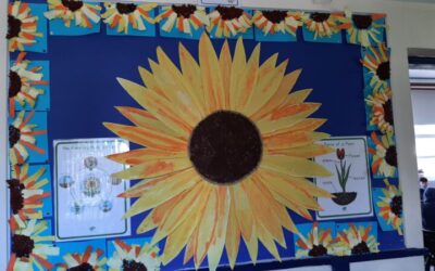 Learning about sunflowers