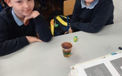 Science Week 3rd and 4th