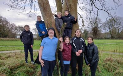 Christmas Week 2025 in 5th & 6th Class