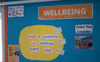 Wellbeing in our school!