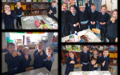 A Look Back at 2019 /2020